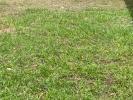 Vente Terrain Riviere-salee 972