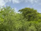 Annonce Vente Terrain Riviere-salee