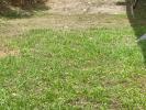 Acheter Terrain 308 m2 Riviere-salee