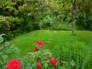 House COURS-LA-VILLE COURS LA VILLE et alentours