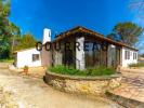 Annonce Vente 6 pièces Maison Castelnau-le-lez