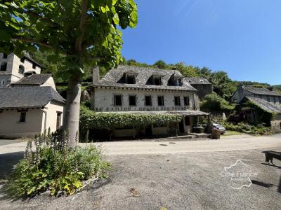 photo For sale Prestigious house VIEILLEVIE 15