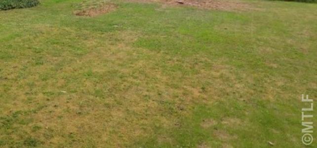 Vente Terrain SARCELLES  95