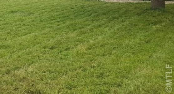 Vente Terrain VIARMES 95270