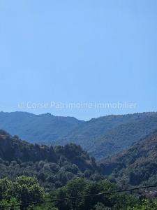 photo For sale Apartment CASTIRLA 20