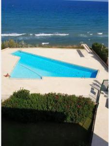 photo For sale Apartment SAN-NICOLAO 20