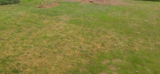 Vente Terrain GONESSE 95500