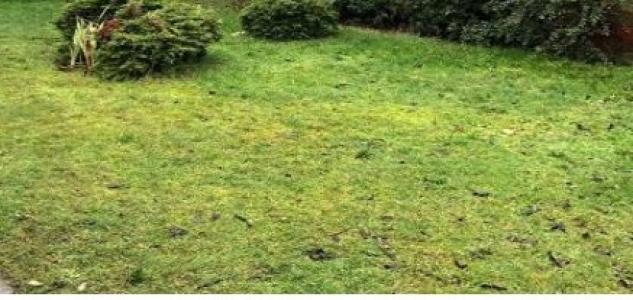 photo For sale Land ERAGNY 95