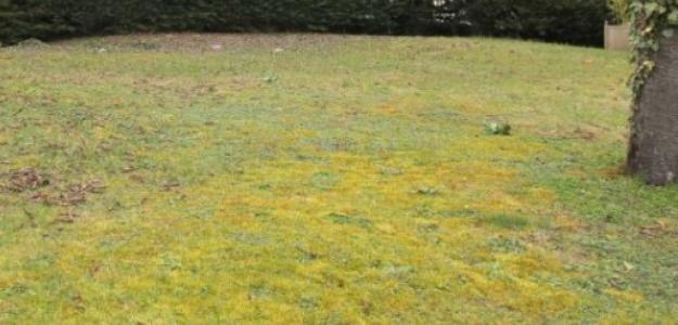 photo For sale Land SAINT-OUEN-L'AUMONE 95