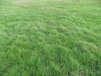 Vente Terrain MONTSOULT 95560