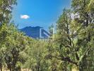 Acheter Prestige Adrets-de-l'esterel 1060000 euros