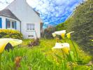 Acheter Commerce 80 m2 Roscoff