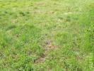 For sale Land Herblay  95220 417 m2