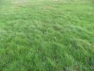 For sale Land Montsoult  95560 312 m2