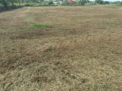 Vente Terrain BAIE-MAHAULT 97122