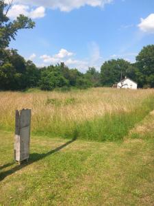 Vente Terrain COUFFY 41110