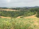 Acheter Terrain 2500 m2 Castera-vignoles