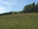Acheter Terrain Saint-marcet 35000 euros