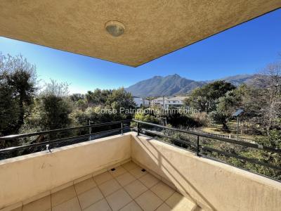 Vente Appartement 3 pièces SAN-NICOLAO 20230
