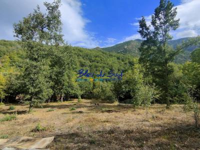 photo For sale Land CLARA 66