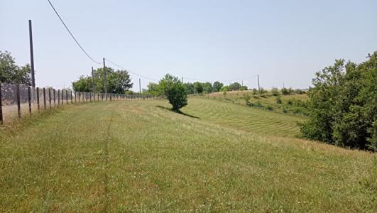 Vente Terrain LESCURE-D'ALBIGEOIS 81380