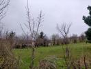 Vente Terrain Chateauneuf-sur-isere 26