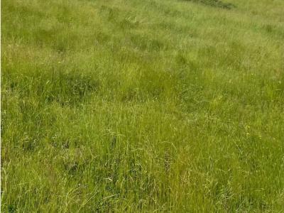 Vente Terrain CHAROLLES 71120