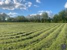 Annonce Vente Terrain Hauterive