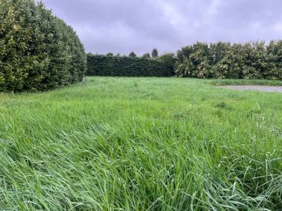 Vente Terrain LORIOL-SUR-DROME 26270