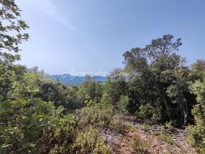 photo For sale Land TAVERNES 83