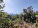For sale Land Tavernes  83670 22940 m2