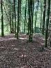 Acheter Terrain Marcillac-la-croisille Correze