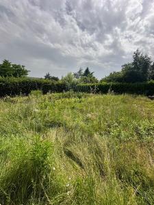 Vente Terrain BEAUFORT 38270