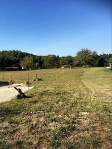 Vente Terrain PAUSSAC-ET-SAINT-VIVIEN 24310