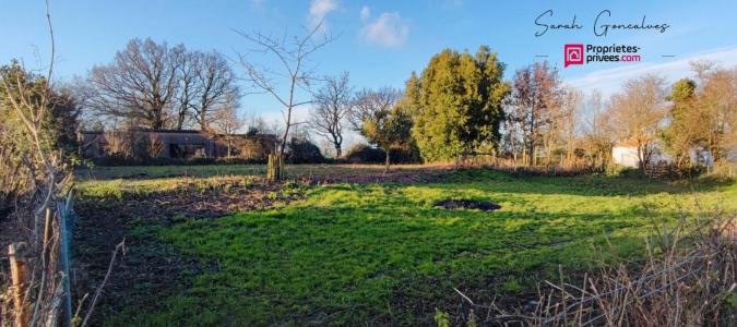 For sale Land CHAILLE-SOUS-LES-ORMEAUX RIVES-DE-L-YON 85