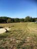 Annonce Vente Terrain Paussac-et-saint-vivien
