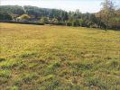 Acheter Terrain Paussac-et-saint-vivien 22500 euros