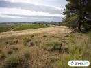 Land FABREZAN 