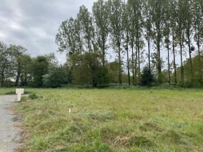 Vente Terrain SAINT-DOMINEUC  35