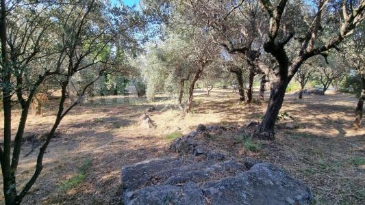 photo For sale Land DRAGUIGNAN 83