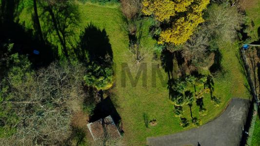 Vente Terrain SAINT-ANDRE-DE-SEIGNANX  40