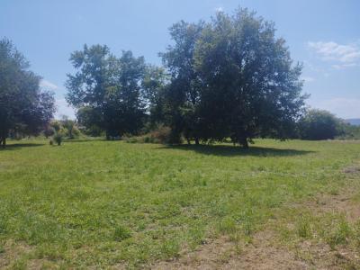 photo For sale Land CAZERES 31