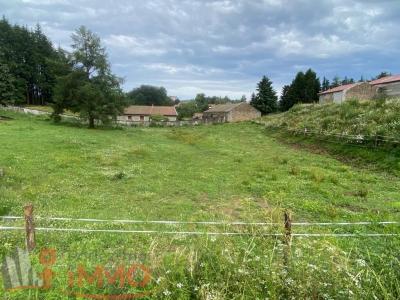 photo For sale Land SAINT-PAL-DE-MONS 43