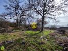 Acheter Terrain Jouet-sur-l'aubois 25000 euros