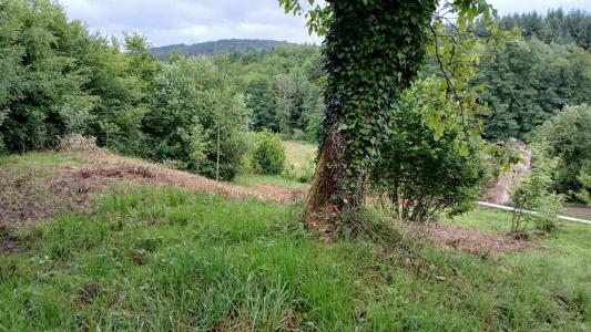 Vente Maison 6 pièces PASSAVANT-LA-ROCHERE 70210