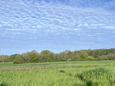 Vente Terrain SAVONNIERES 37510