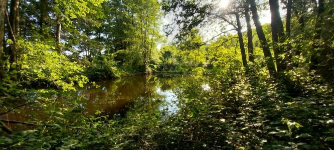 photo For sale Land SAINT-BRESSON 70