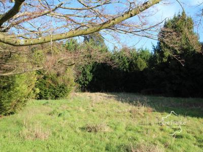 photo For sale Land LONS 64