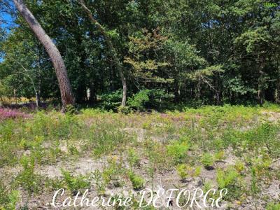 photo For sale Land CIVRAC-DE-BLAYE 33