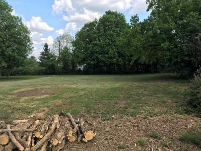 Vente Terrain ECHILLAIS  17